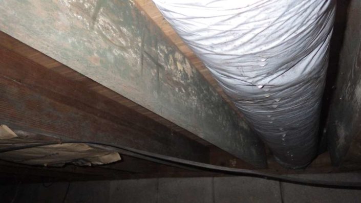 Mold In Crawlspace Mold In Crawlspace