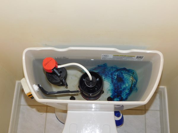 Testing Leaking Toilet