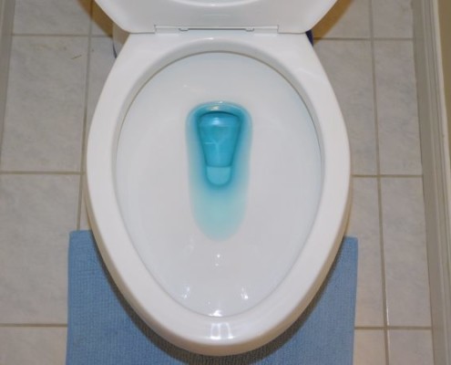 Leaking Toilet Flapper