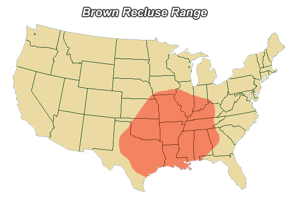 Brown Recluse Spiders And Your Home ABI Home Inspection Service Spiderbrownrecluserange