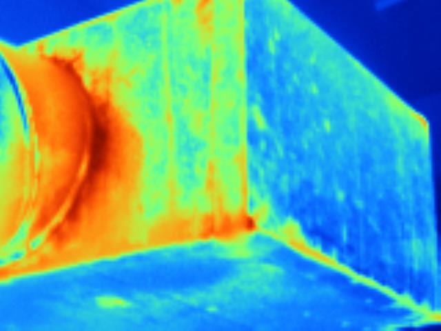 Thermal Image Scan