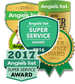Angie's List 2017