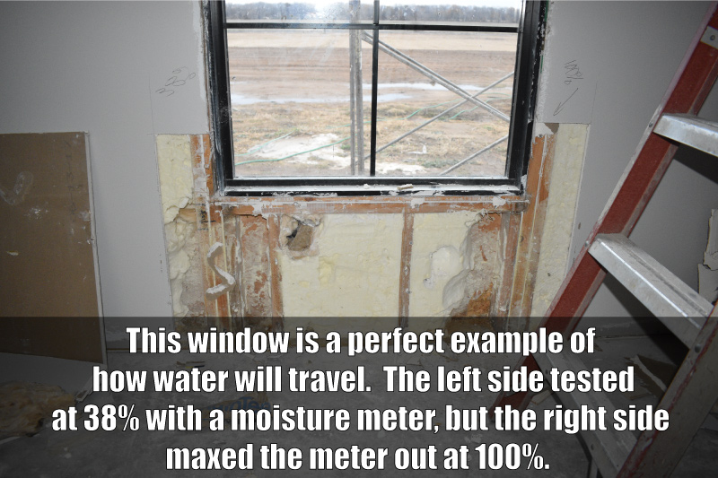 Leaking-Window-Moisture-Levels