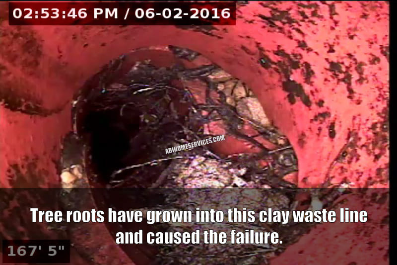 Failed Clay Sewer Pipes From Tree Roots